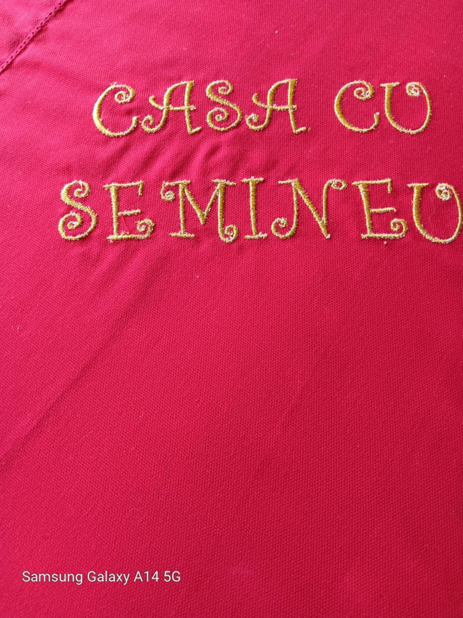 莫伊西德约斯Casa Cu Semineu Moieciu别墅 外观 照片